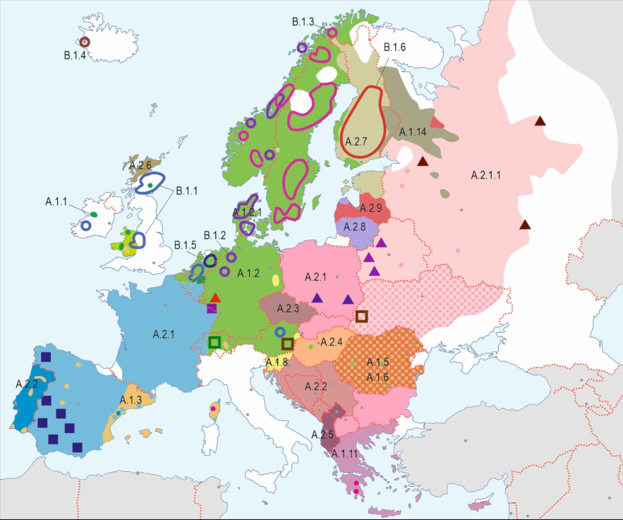54. posiedzenie wykonawców Atlasu języków Europy (Bukareszt, 11.11.2022)
